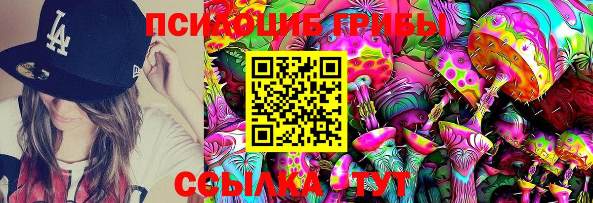 Псилоцибиновые грибы Cubensis Баксан