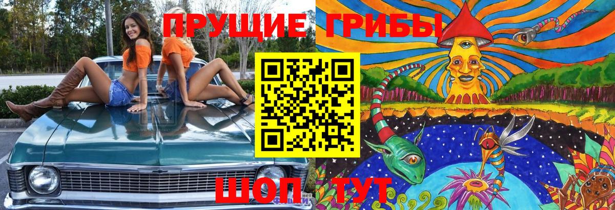 Псилоцибиновые грибы мицелий  Вход с VPN  Баксан 